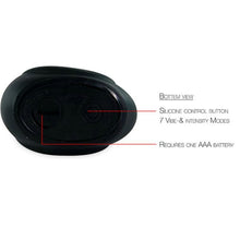 Charger l'image dans la galerie, Canard Vibrant